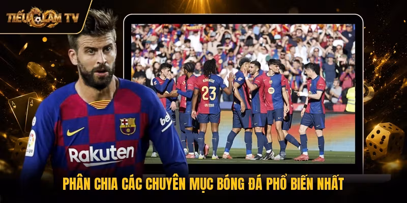Phân chia các chuyên mục bóng đá phổ biến nhất