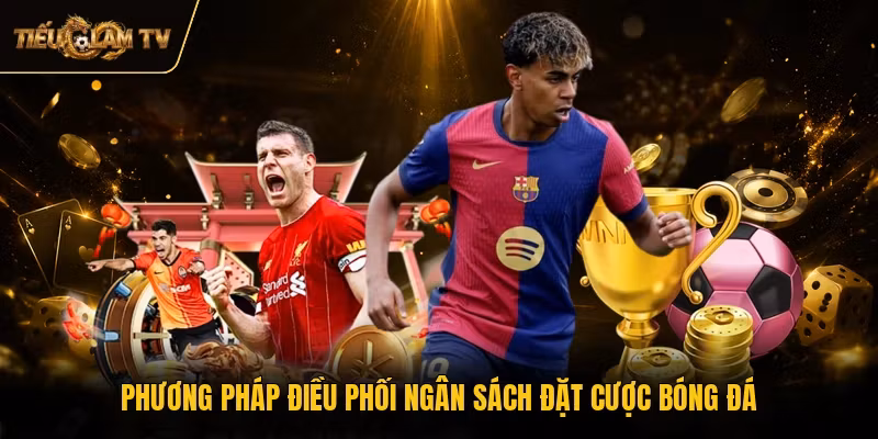 Phương pháp điều phối ngân sách đặt cược bóng đá