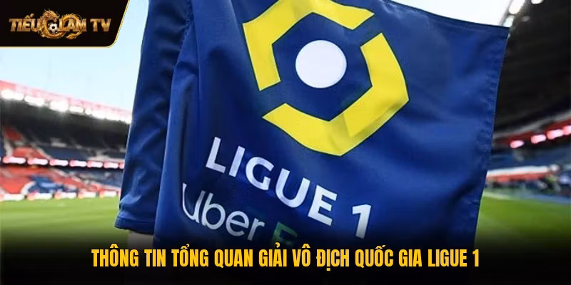 Thông tin tổng quan giải vô địch quốc gia Ligue 1