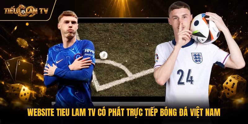Website Tieu Lam TV có phát trực tiếp bóng đá Việt Nam